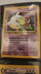 Pokemon  1 edicao natu