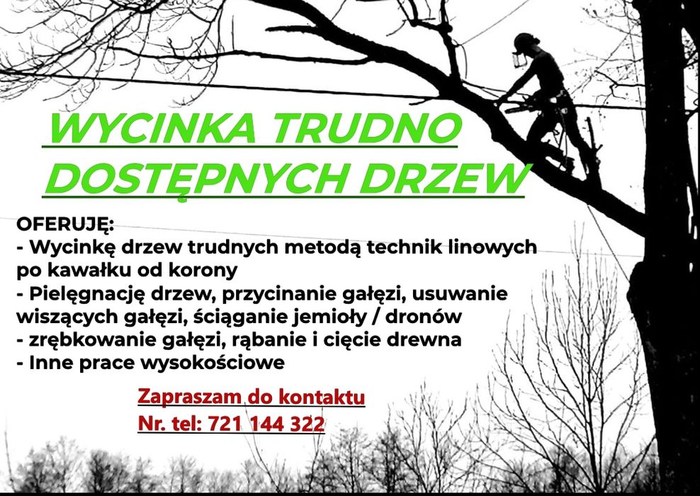 Wycinka drzew trudnych