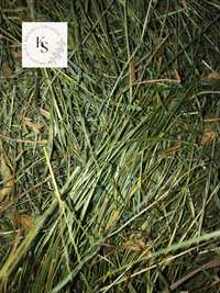 Sianko łąkowe 3kg ekologiczne