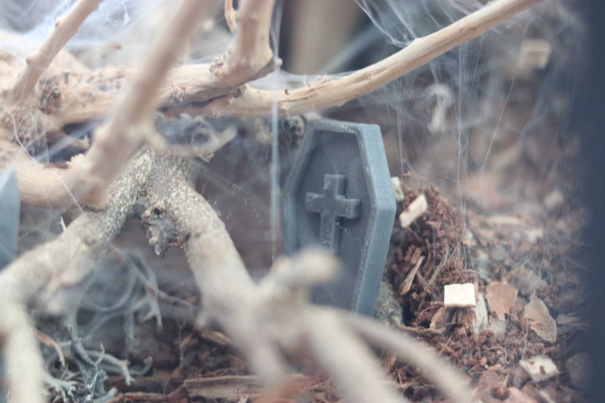 Akcesoria do terrarium - nagrobki, elementy wystroju dla pająków