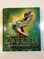 Zwierzęta Encyklopedia ilustrowana - PWN