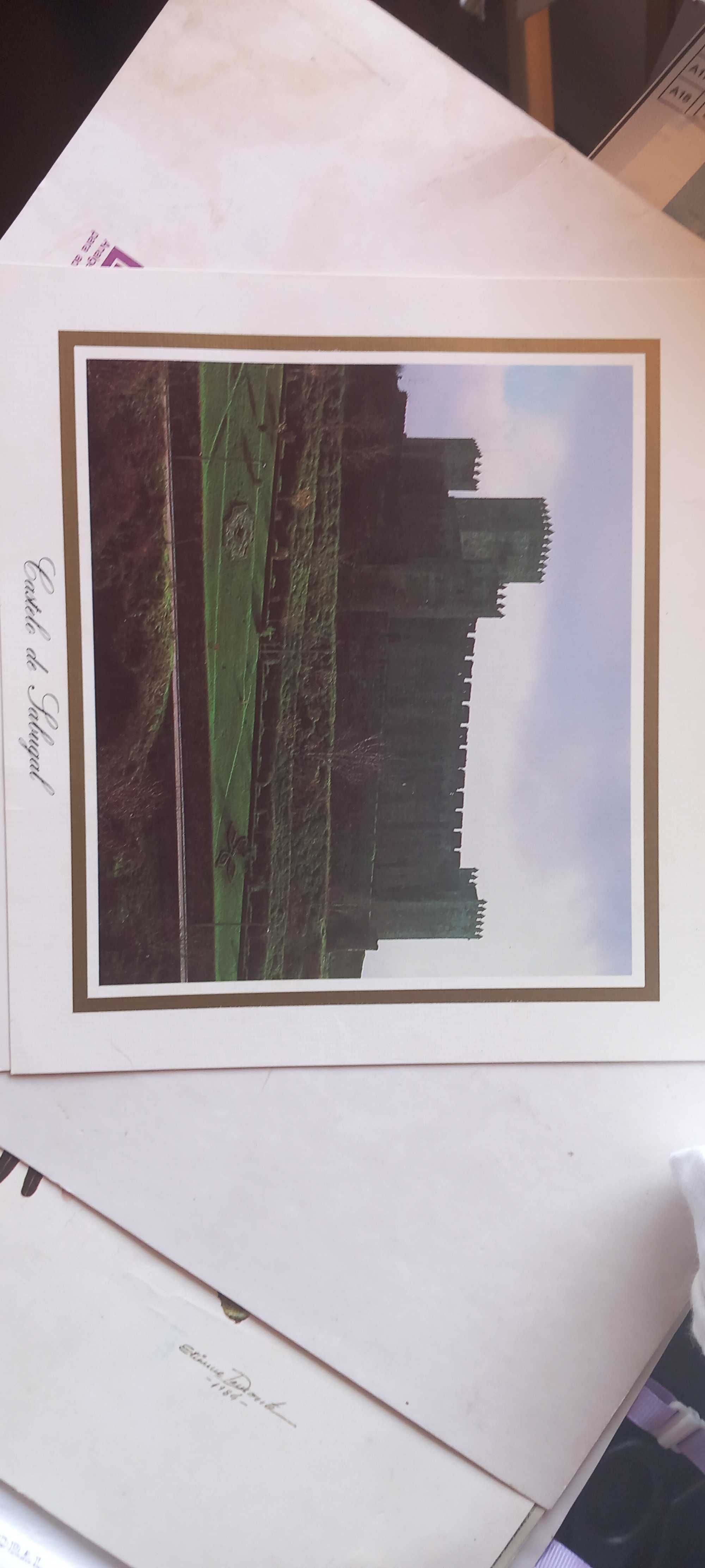 Litografias di castelo de Almourol e de Sabugal.