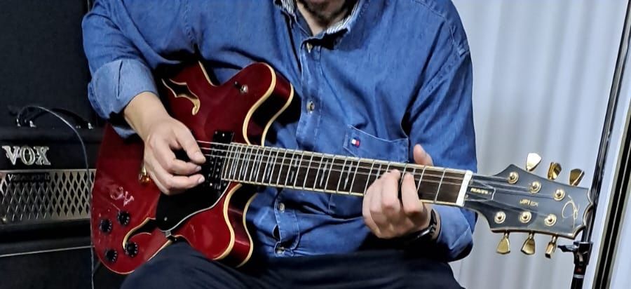 Guitarra 335  Peavey JF 1 EX (pickups Seymour Duncan)