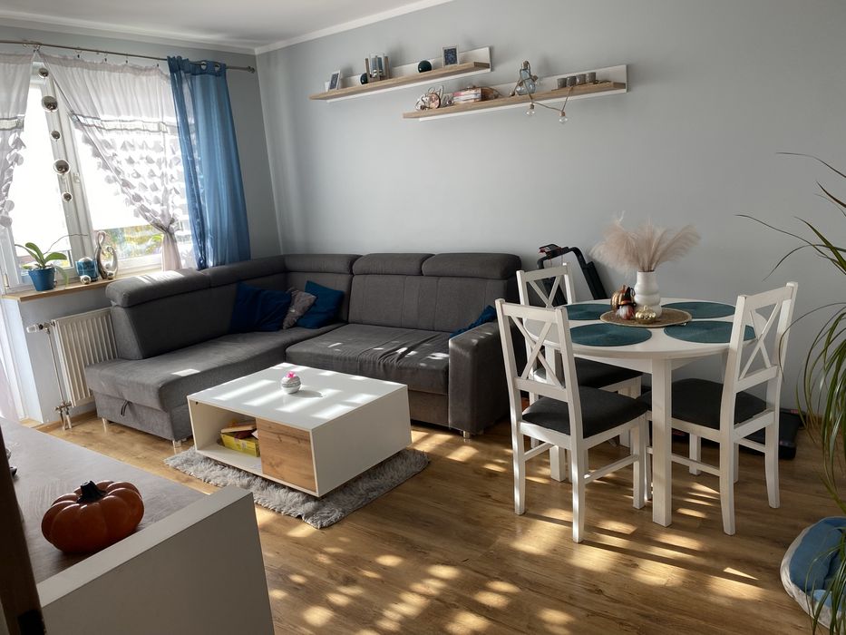 Mieszkanie 2 pokojowe Nowy Zawiszów