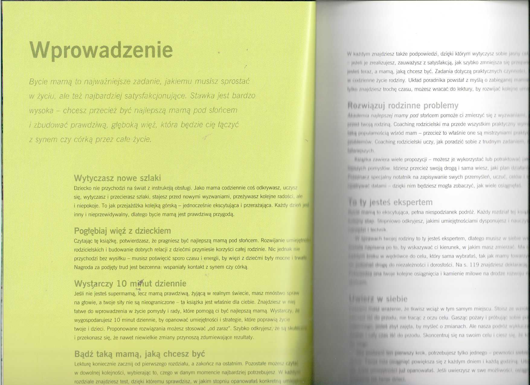 Akademia najlepszej mamy pod słońcem Lorraine Thomas
