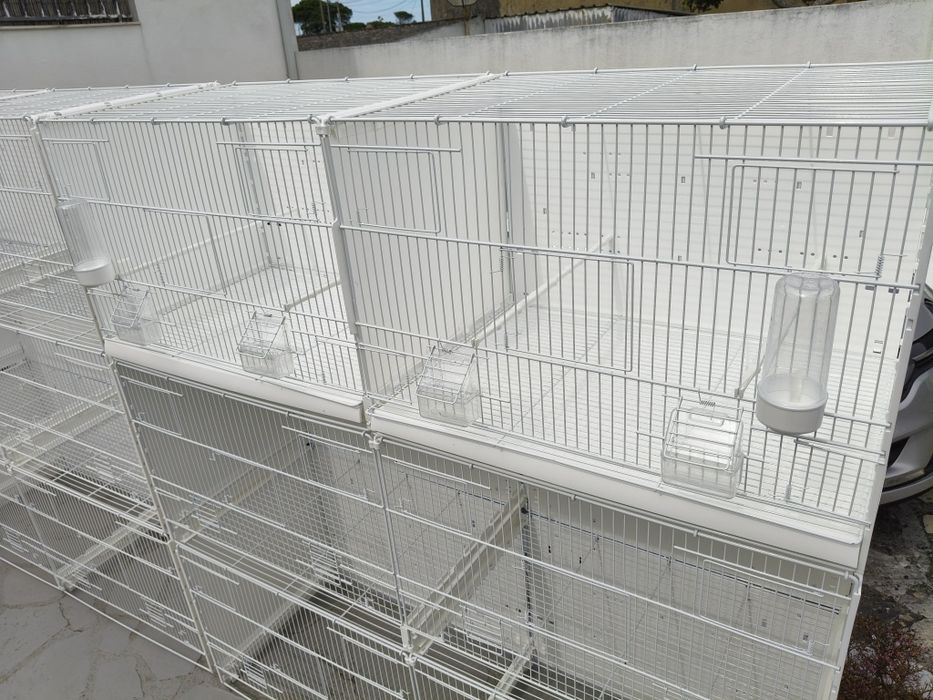 Voadeiras 2gr 120cm