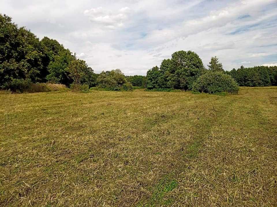 Porządkowanie działek wykaszanie farm fotowoltaicznych glebogryzarka