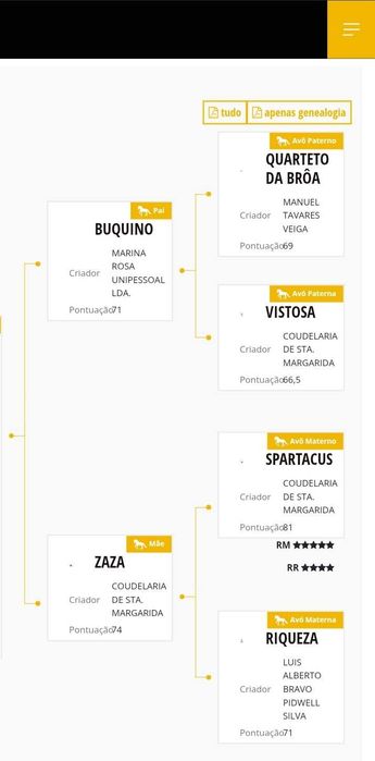 Eguas de Qualidade Lusitanas
