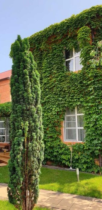 Дом на 13 Фонтана/Топовая локация