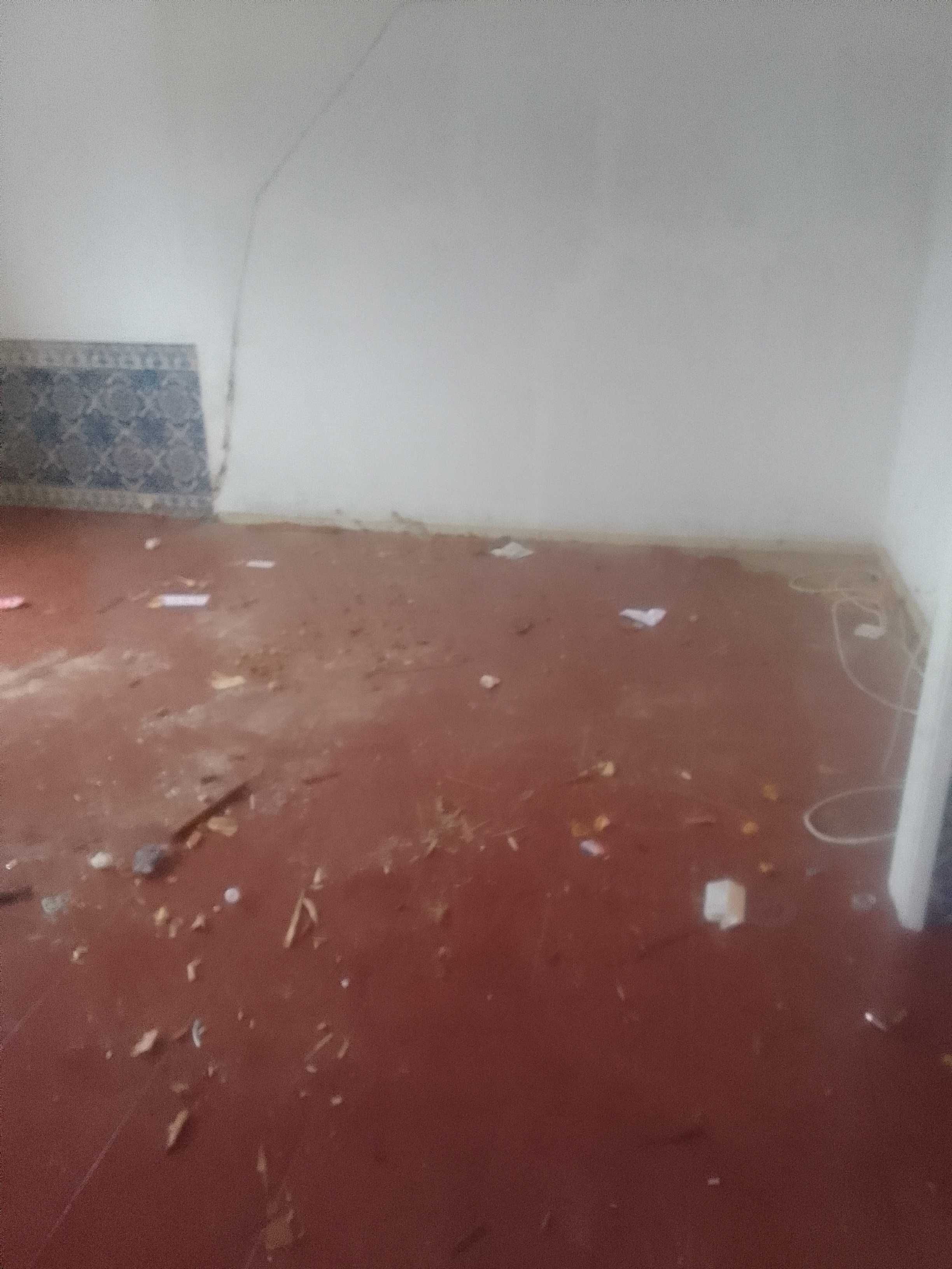 Recolhas de monos/entulhos/Demolicoes/Canalizacao
