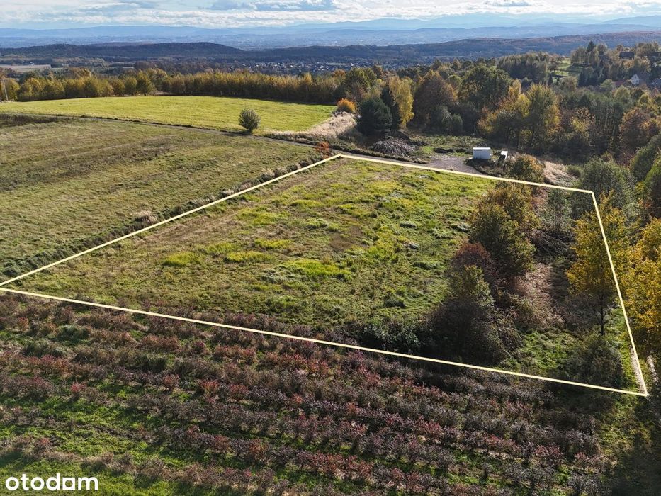 Działka rolna 53 ar Rybna