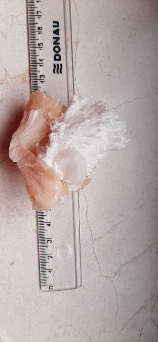 Wyjątkowy skolezit na stilbicie Indie