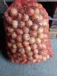 Cebula drobna na sucho - wysyłka 10 kg