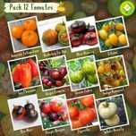 Conjunto de 12 pacotes de sementes de Tomates Raros