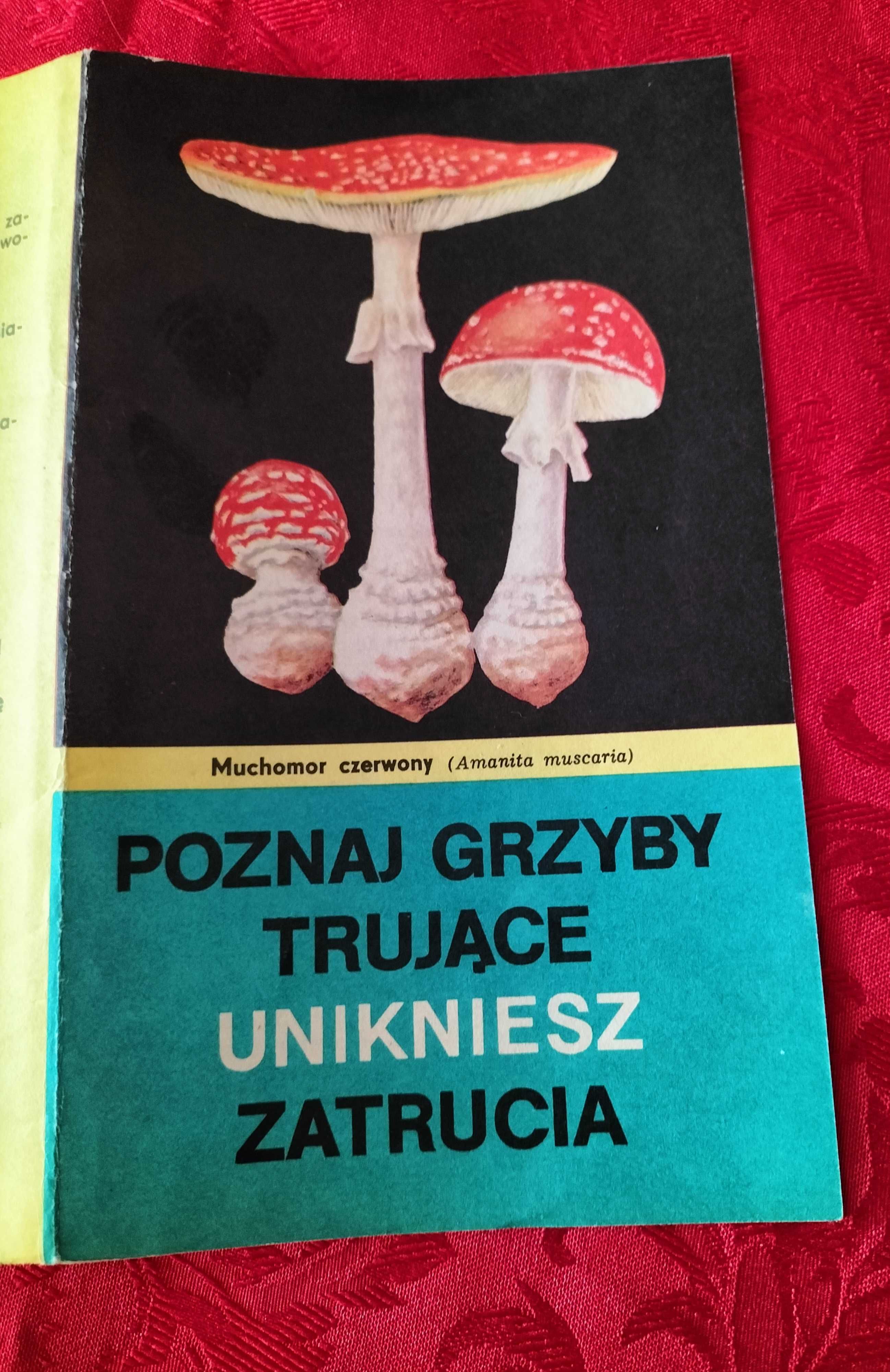 Ulotka z lat 70-tych