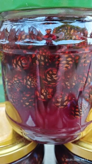 Варенье из сосновых шишек 2025