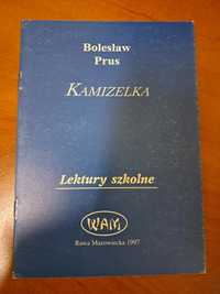 Kamizelka, lektura