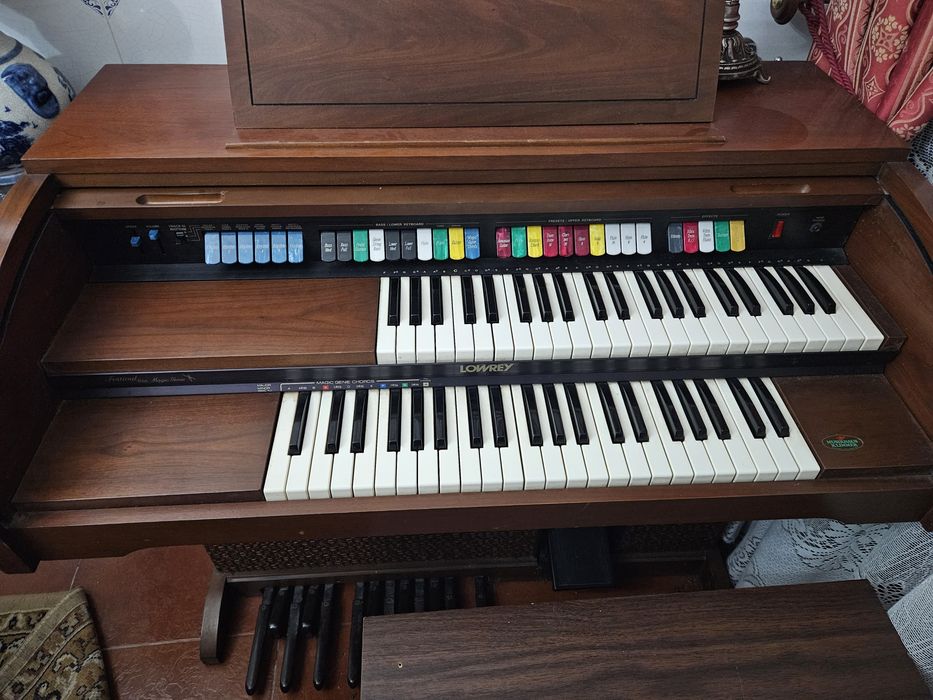 Órgão elétrico Lowery Magic Genie Chord