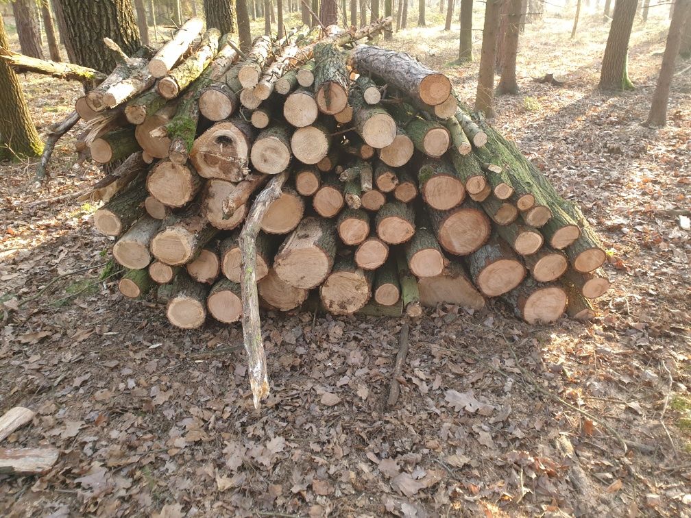 Sprzedam drewno na opał