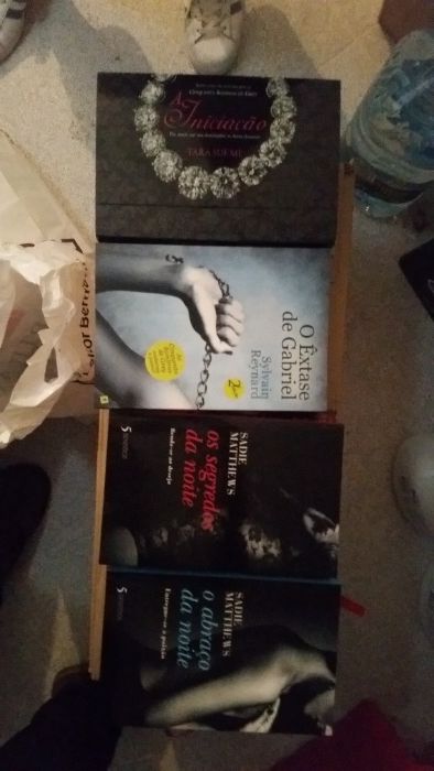 Livros de literatura erotica II