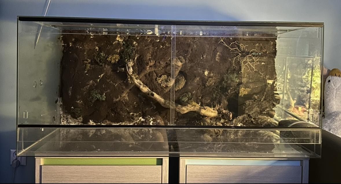 Terrarium dla węża kameleona gada gadów jaszczurki gekona agamy 110cm