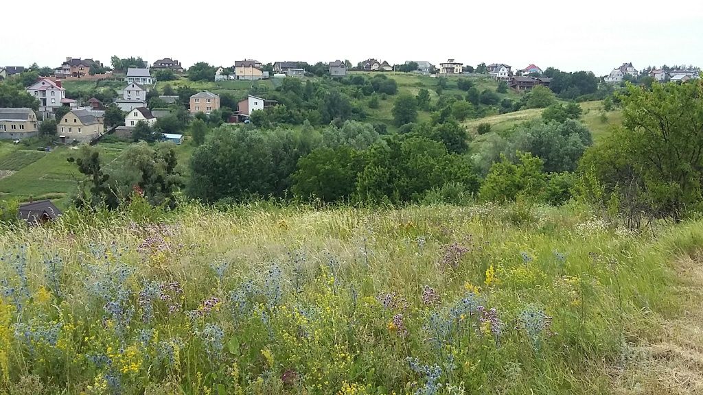 Лісники. Ділянка 100 соток.