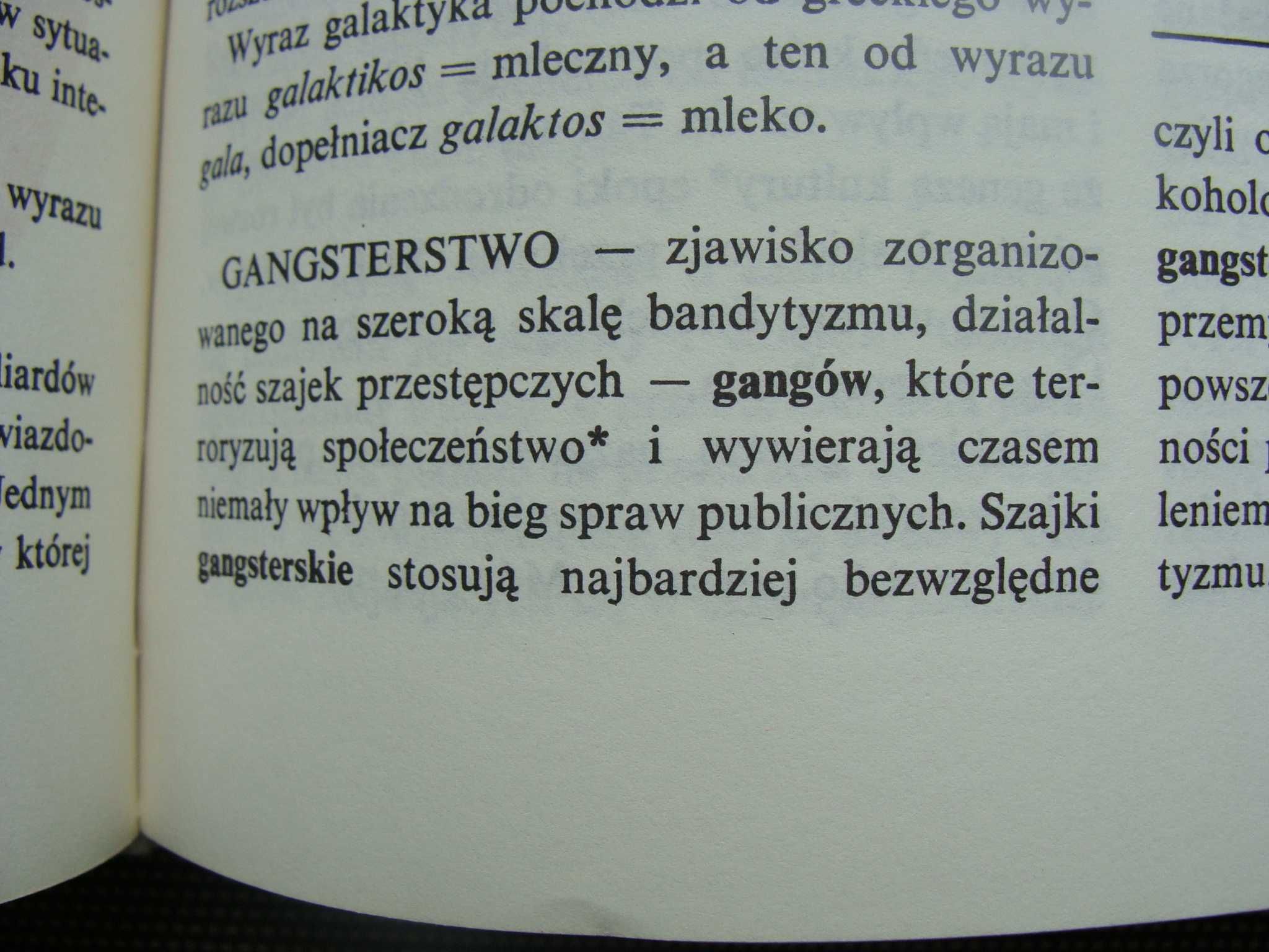 Wyrazy trudne, ważne i ciekawe. Leksykon dla dzieci i młodzieży (P)