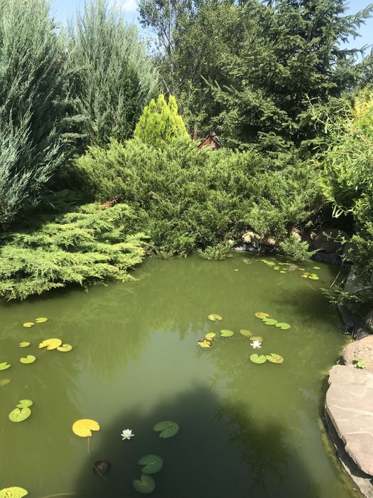 Продам будинок в Киівській області