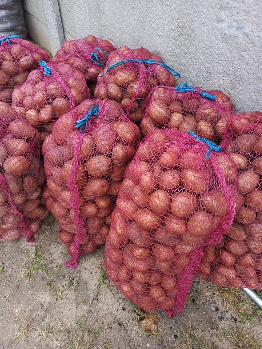Ziemniaki bellarosa  15kg
