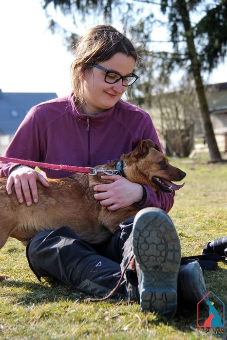 Tymon 86/24 - SZUKA DOMU!