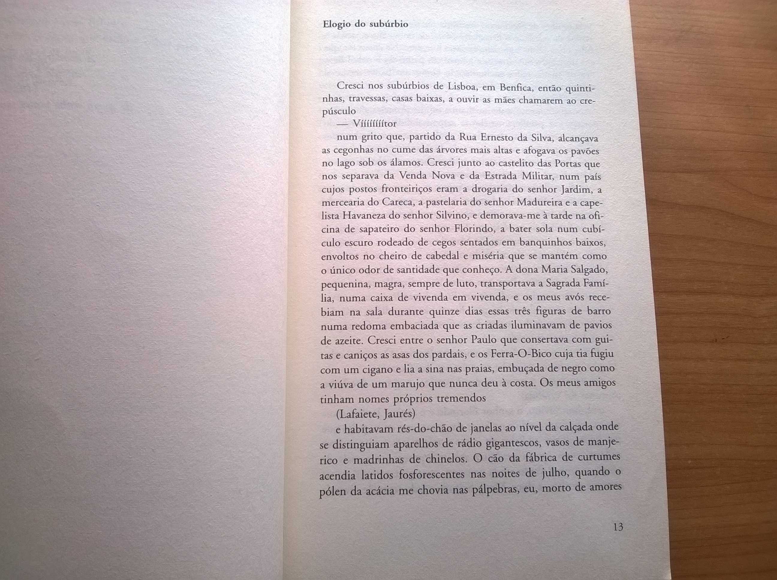 Livro de Crónicas (2.ª ed.) - António Lobo Antunes (portes grátis)