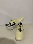 Chuteiras  nike tiempo legend