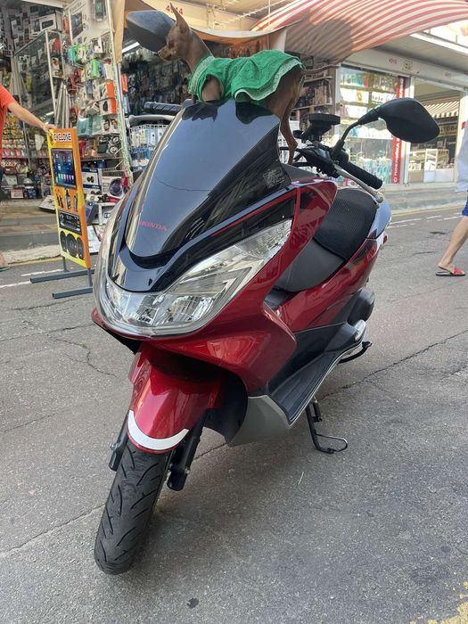 Продам мопед Honda PCX 125