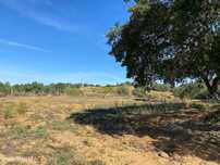 Excelente Terreno com a área total de 2,375ha.
