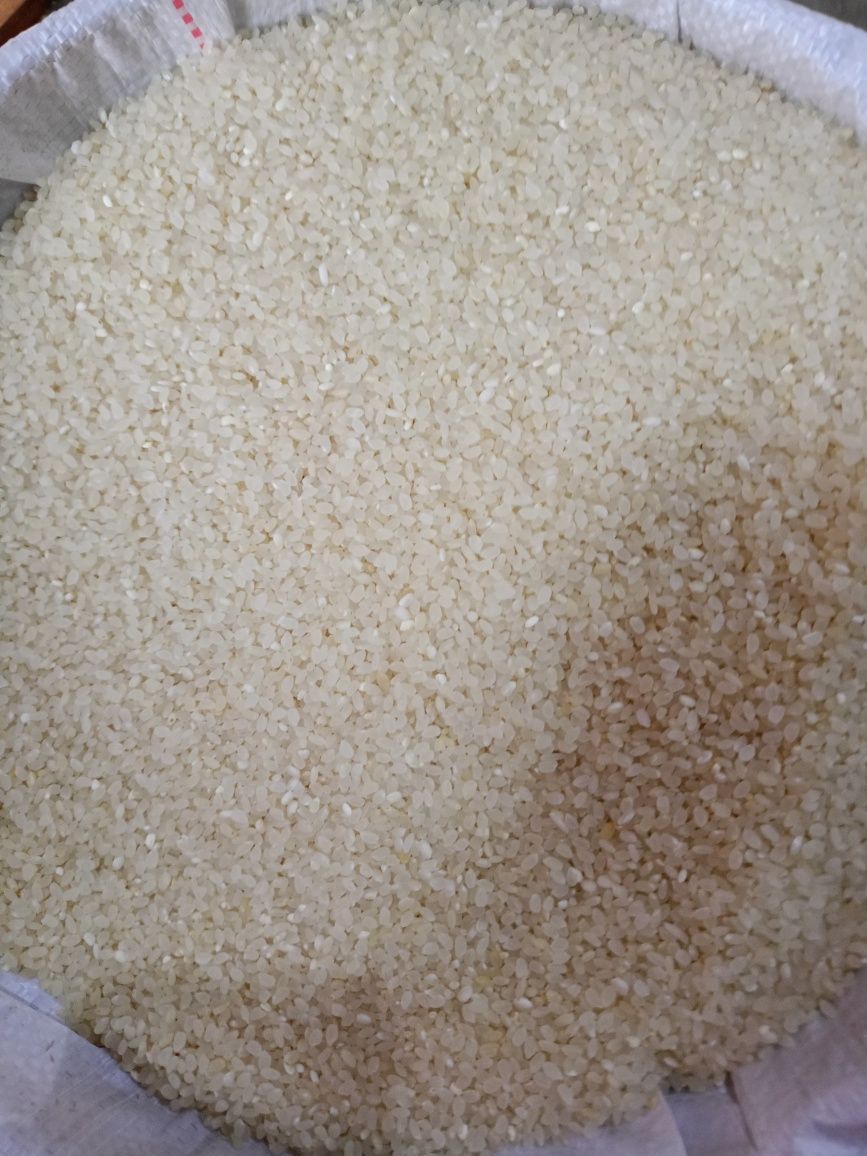 Ryż okrągły 25 kg