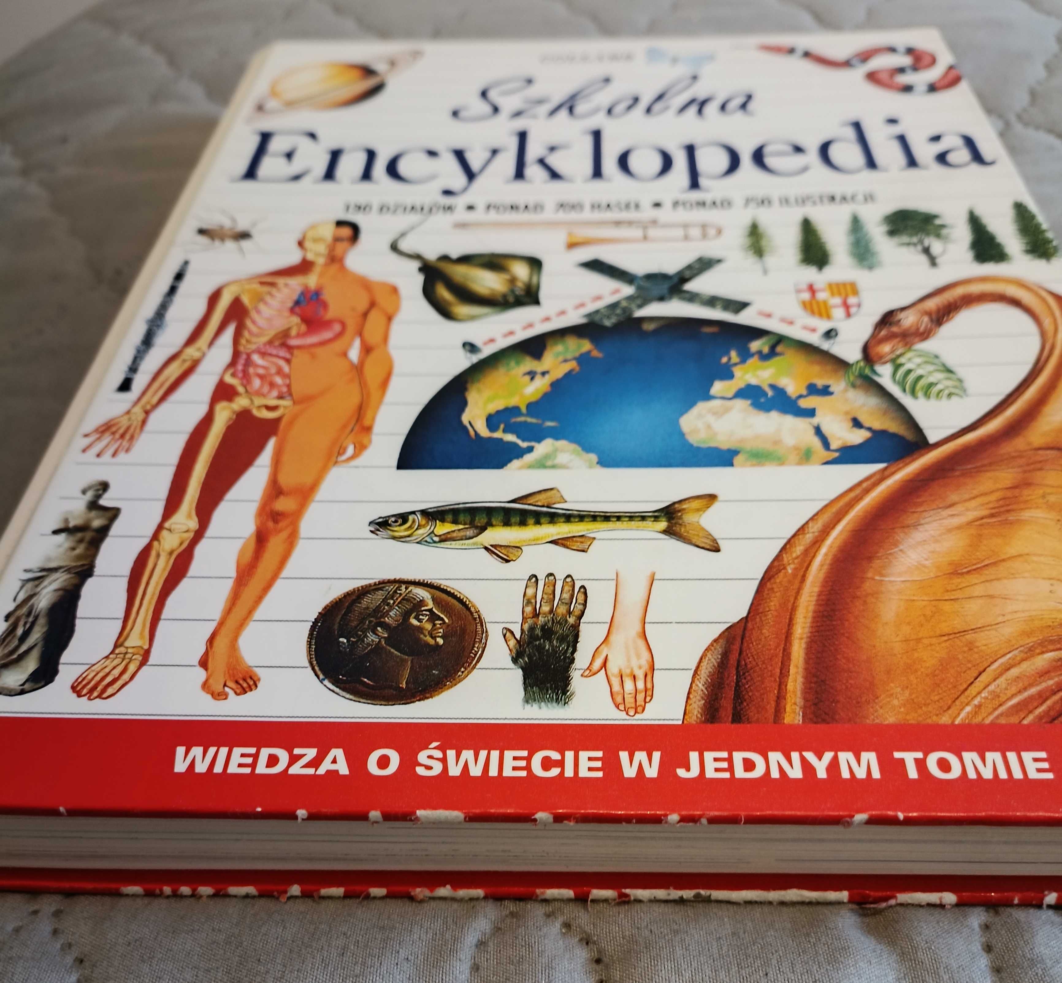 Encyklopedia szkolna Collins Wiedza o świecie w jednym tomie