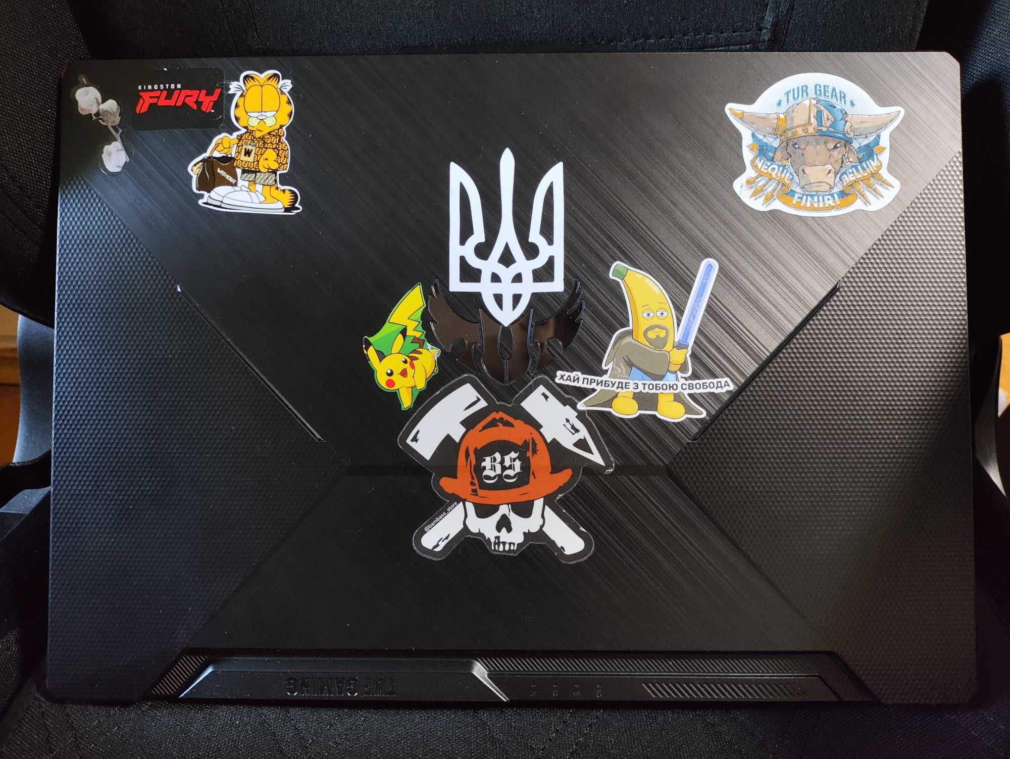 ASUS TUF GAMING F15 [CUSTOM] i5-10300h/1650 4Gb/32Gb/SSD 512+960Gb