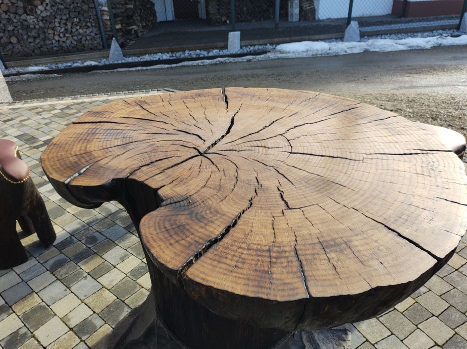 Stół unikat narośl czeczota
