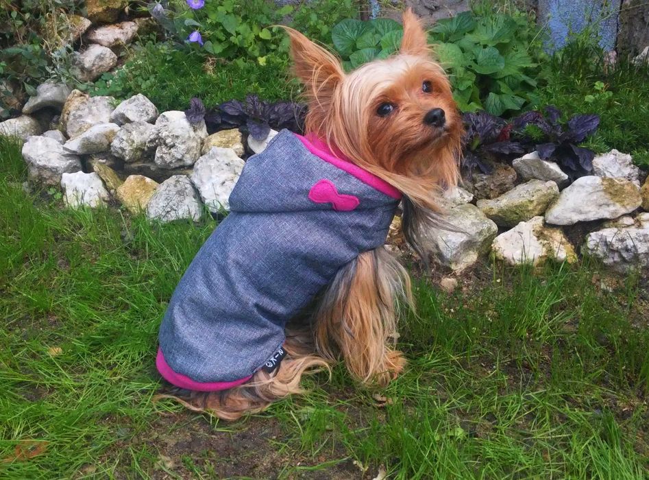 Kurteczka dla psa ubranko kurtka dla pieska sweterek kubraczek