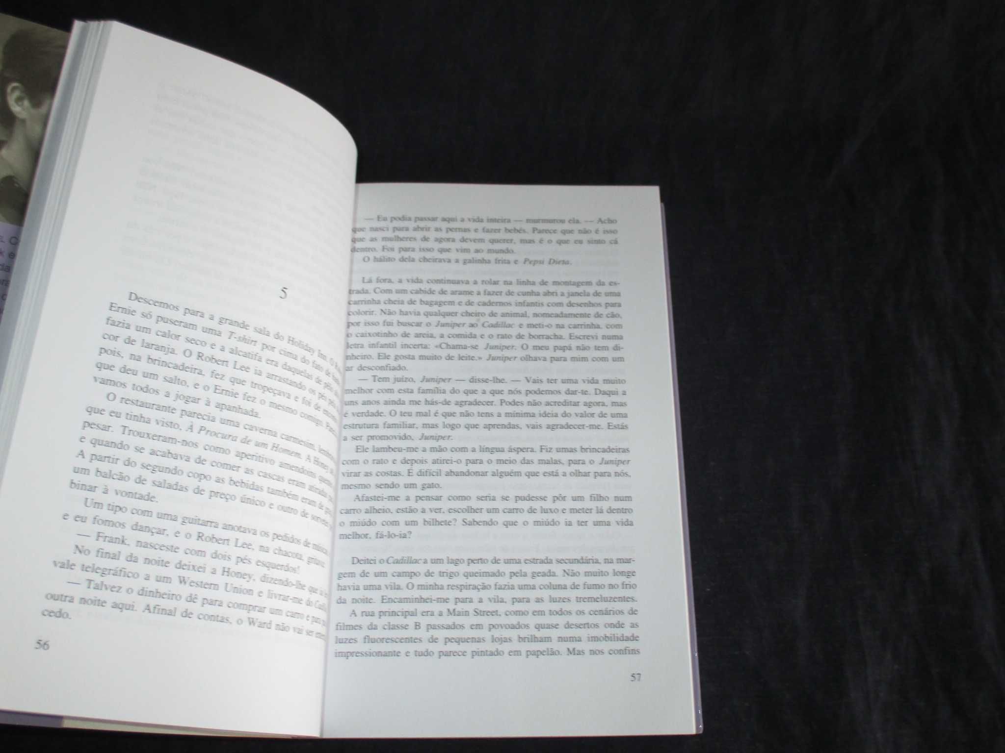 Livro Os Profanadores Michael Collins Gradiva