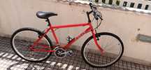 Bicicleta bicicleta