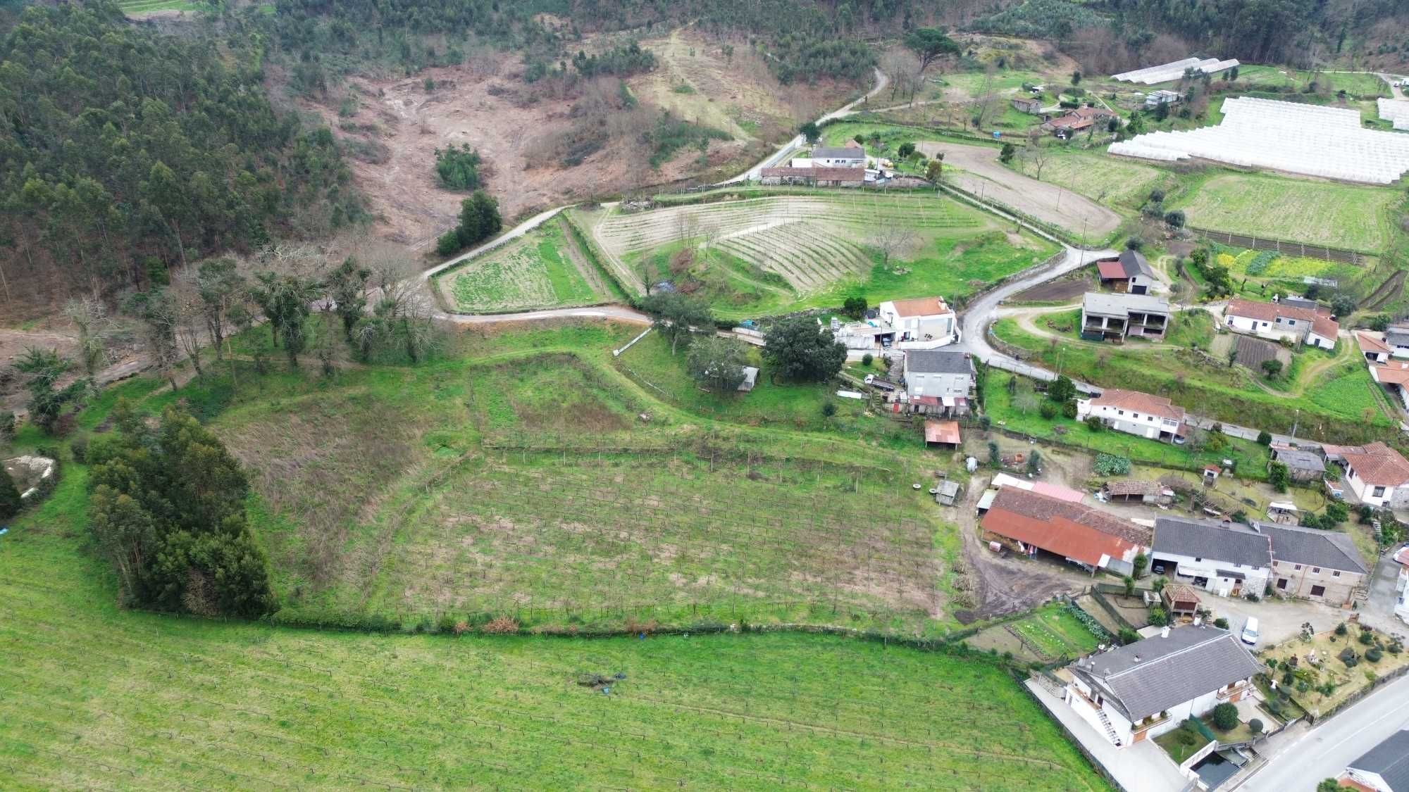 Terreno e Monte Santa Eufémia Prazins