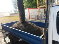 Beton półsuchy, zaprawy betonowe półsuche, transport wywrotka 3,5 tony