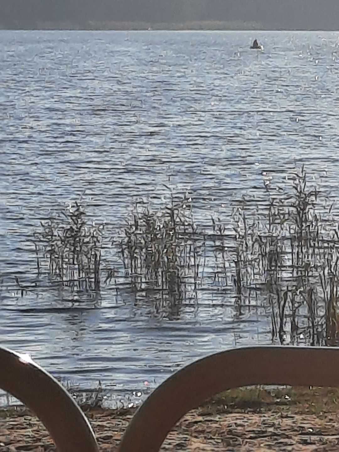 Sprzedam działkę rekreacyjną