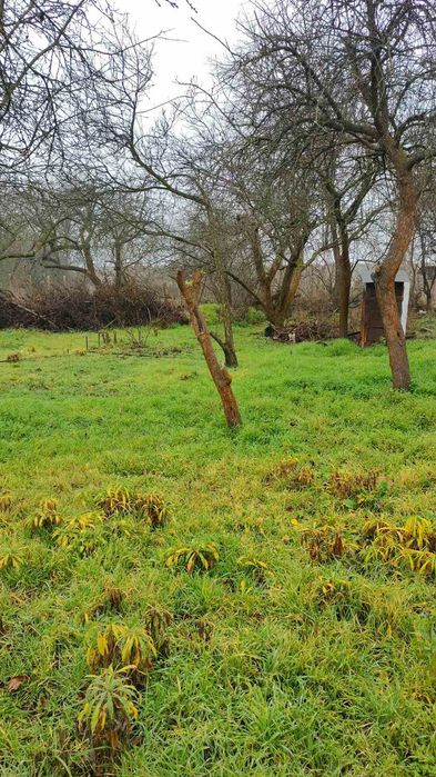 Продам дачу. Дачний участок. Власівка