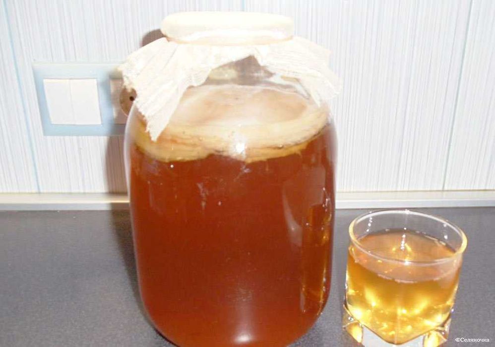 Гриб чайний ( комбуча)