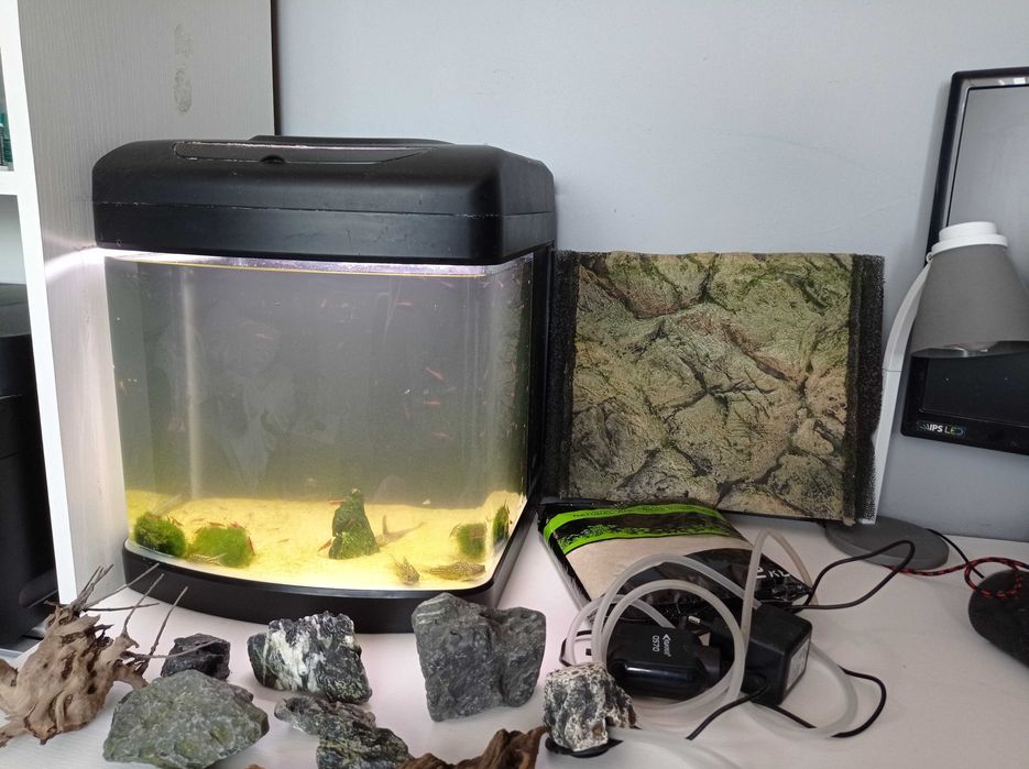 Akwarium Invital LED małe 26L z wyposażeniem, rybki, krewetki + chemia