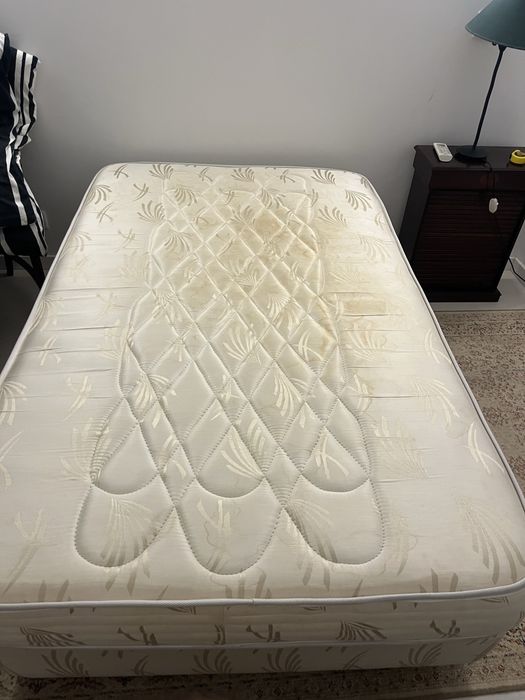 Cama 110x180cm Molaflex Ortopedico