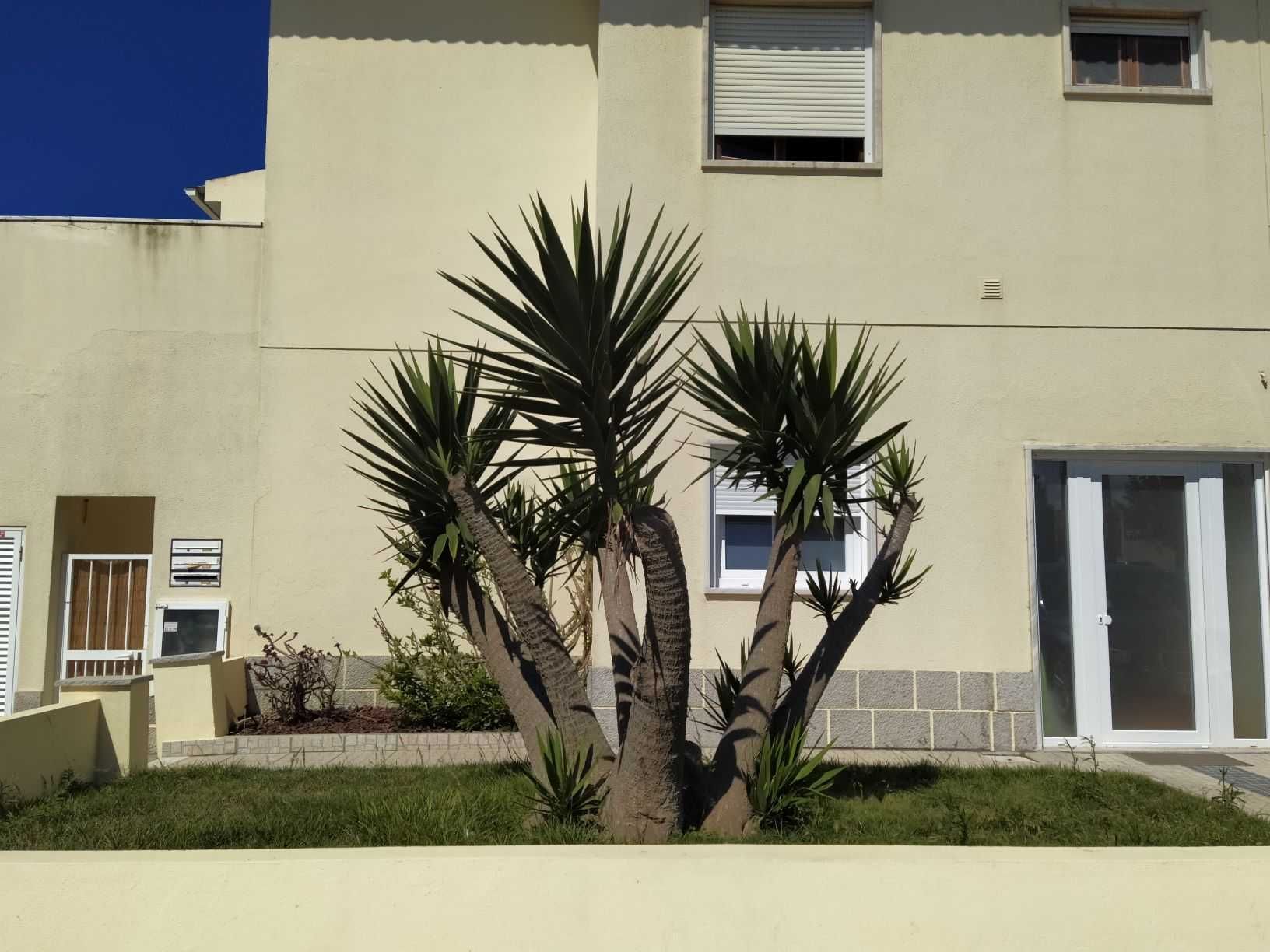Moradia T2 na Praia da Consolação- a partir de 6/9!