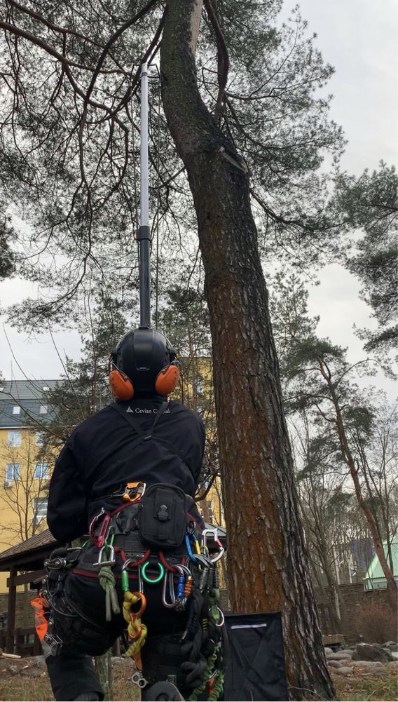 Видалення дерев,Спил,Кронування,Зрізання,Удаление деревьев,благоустрій